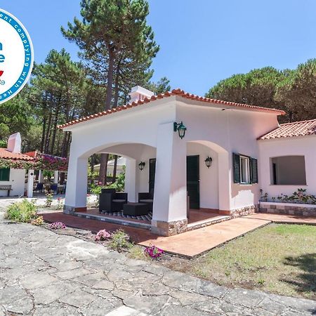 Ocean, Pines And Mountain - Renovated February 2025 - Ac Villa Colares Ngoại thất bức ảnh
