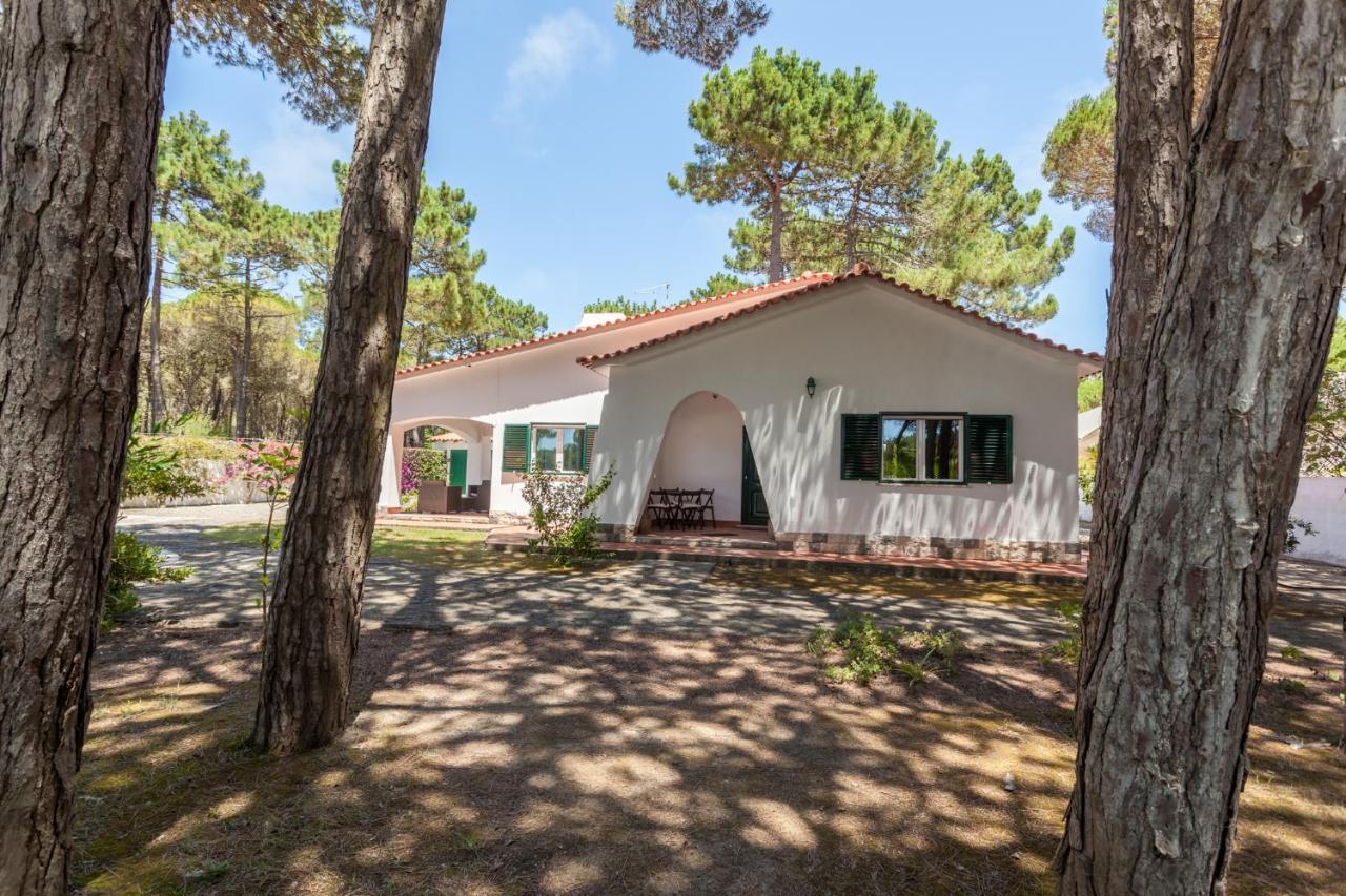 Ocean, Pines And Mountain - Renovated February 2025 - Ac Villa Colares Ngoại thất bức ảnh