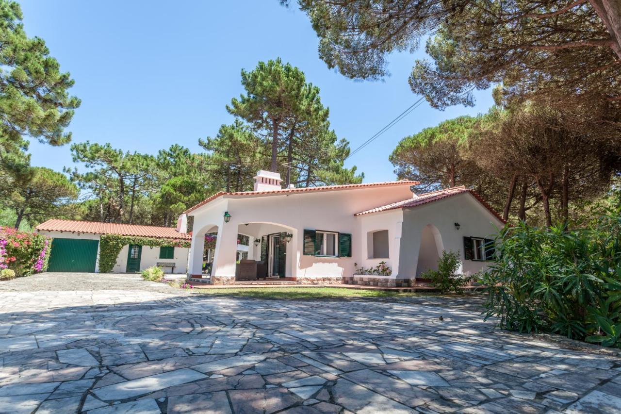 Ocean, Pines And Mountain - Renovated February 2025 - Ac Villa Colares Ngoại thất bức ảnh